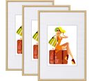 3 X Cadre Photo En Plastique Mat.cadre De Photo Or 30x40 cm New Life Style Br9864gd-3