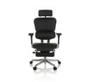 Fauteuil De Bureau Luxe  Ergohuman Plus Legpro I L Noir