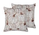 Lot De 2 Coussins Velours Beige Gourd 45 X 45 Cm