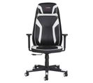 Fauteuil gamer BXGAMING noir et blanc SNOX