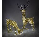 Cerf et Biche Dorés LED Décoration Intérieur Extérieur Jardin