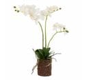 Fleur Artificielle Déco "orchidée En Terre" 54cm Blanc