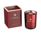 Bougie Parfumée "excellent" 14cm Rose Champagne Rouge