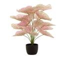 Plante Artificielle En Pot "caladium" 57cm Rose Clair