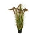 Herbe De Pampas Artificielle En Pot "13 Têtes" 180cm Vert et Beige