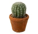 Plante Artificielle En Pot "cactus" 15cm Vert