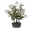 Arbre Artificiel En Pot "olivier" 60cm Vert