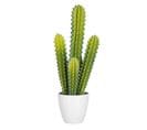 Plante Artificielle En Pot "cactus" 52cm Vert