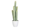 Plante Artificielle "cactus 5 Parties" 54cm Vert