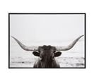 Cadre Photo 'taureau" 104x144cm Noir et Blanc