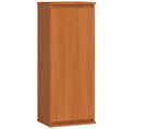 Vitrine Armoire W40 Aulne 40 Cm 1 Porte Façade Aulne 3 Étagères 40x30x99 Cm