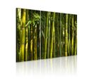 Tableau Imprimé "bambou et Vert" 40x60cm