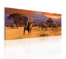 Tableau Imprimé "march Of African Elephants" 45 X 135 Cm