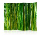 Paravent 5 Volets "bamboo Forest" 172x225cm
