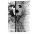 Paravent 3 Volets "dynamic Football" 135x172cm