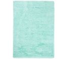 Tapis Salon Chambre Antidérapant Bébé Menthe Uni Shaggy Super Doux 160x230 cm