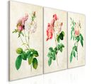 Tableau Imprimé "floral Trio Collection" 60 X 120 Cm