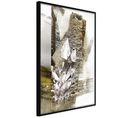 Affiche Murale Encadrée "treasures Of The Earth" 30 X 45 Cm Noir