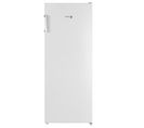 Congélateur armoire FAGOR FNF6166EW 166L