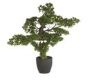 Bonsai artificiel géant avec pot en PLASTIQUE/CIMENT - Dim : H 80 x L 80 x P 60 cm