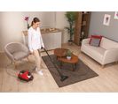 Aspirateur traîneau HOOVER HE310HM