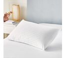 Oreiller En Plumes Et Duvet D'oie Avec Housse Double 100% Coton  50x80cm