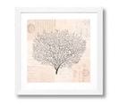 Oak Tree - Tableau Décoratif 30 X 30 Cadre Blanc