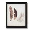 Faced Feathers - Tableau Décoratif 30 X 25 Cadre Noir