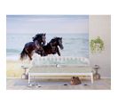 Poster Thème Chevaux Noirs Galopant Sur La Plage- 360 X 254 Cm