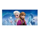 Poster Géant Soeurs La Reine Des Neiges Disney Frozen Intisse 202x90 Cm