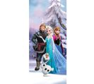 Poster Porte La Reine Des Neiges Disney Frozen Intisse 90x202 Cm