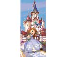 Poster Porte Princesse Sofia Disney Intisse 90x202 Cm