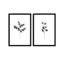 Lot De 2 Tableaux Encadrée En Noir Pictor L74xh51cm Motif Estampes Botaniques De Plantes Noir Et Bla