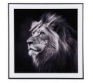 Cadre Et Photo D'art Noir Et Blanc Lion Noir