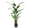 Plante artificielle Heliconia Vert 125 cm 419837