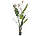 Plante Artificielle Strelitzia Avec 4 Fleurs En Pot 150 Cm