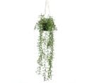 Buisson Suspendu Senecio Artificiel En Pot 70 Cm