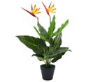 Plante Artificielle Strelitzia Reginae Oiseau De Paradis 66 Cm