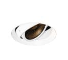 Spot Encastrable Moderne Blanc Gu10 Ar111 Rond Sans Bordure - Oneon Honey