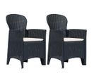 Chaises De Jardin 2 Pièces Avec Coussin Anthracite Plastique