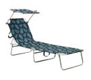 Chaise Longue Pliable Avec Auvent Acier Motif De Feuilles