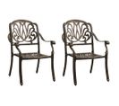 Chaises De Jardin 2 PCs Aluminium Coulé Bronze