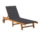 Chaise Longue De Jardin Avec Coussin Bois D'acacia Solide