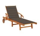 Chaise Longue De Jardin Avec Coussin Bois D'acacia Solide