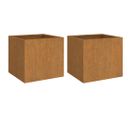 Jardinières 2 PCs 32x30x29 Cm Acier Corten