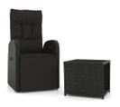 Ensemble De Salon De Jardin 2 PCs Noir Poly Rotin Et Acier