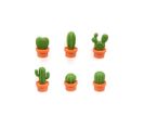 Magnets Cactus Orange