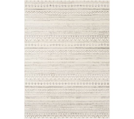 Tapis Scandinave Bohème Gris/blanc 152x213