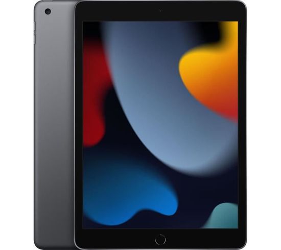 iPad 2021 - 10,2 Wifi - 256 Go - Gris Sidéral