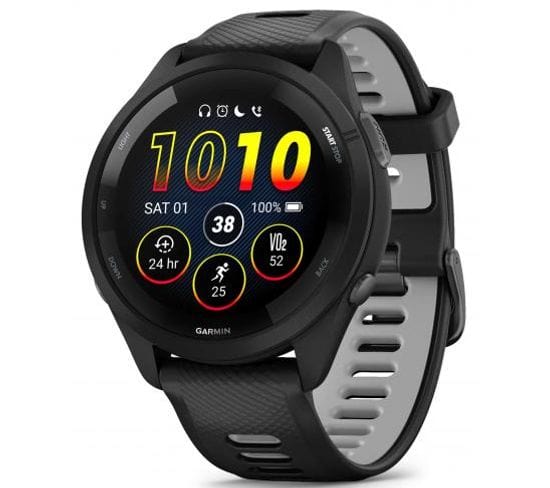 Montre De Sport Garmin 010-02810-10